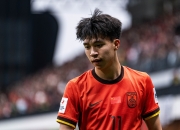 爱游戏世界杯2026-瑞典队横扫法国队，王皓状态火热