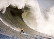 AYX体育赛事-双城记，布克德甲封神夜，上海男篮闯关时—竞技体育的接管时刻