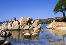 爱游戏tv-勇士轻取天津队，字母哥惊艳四座