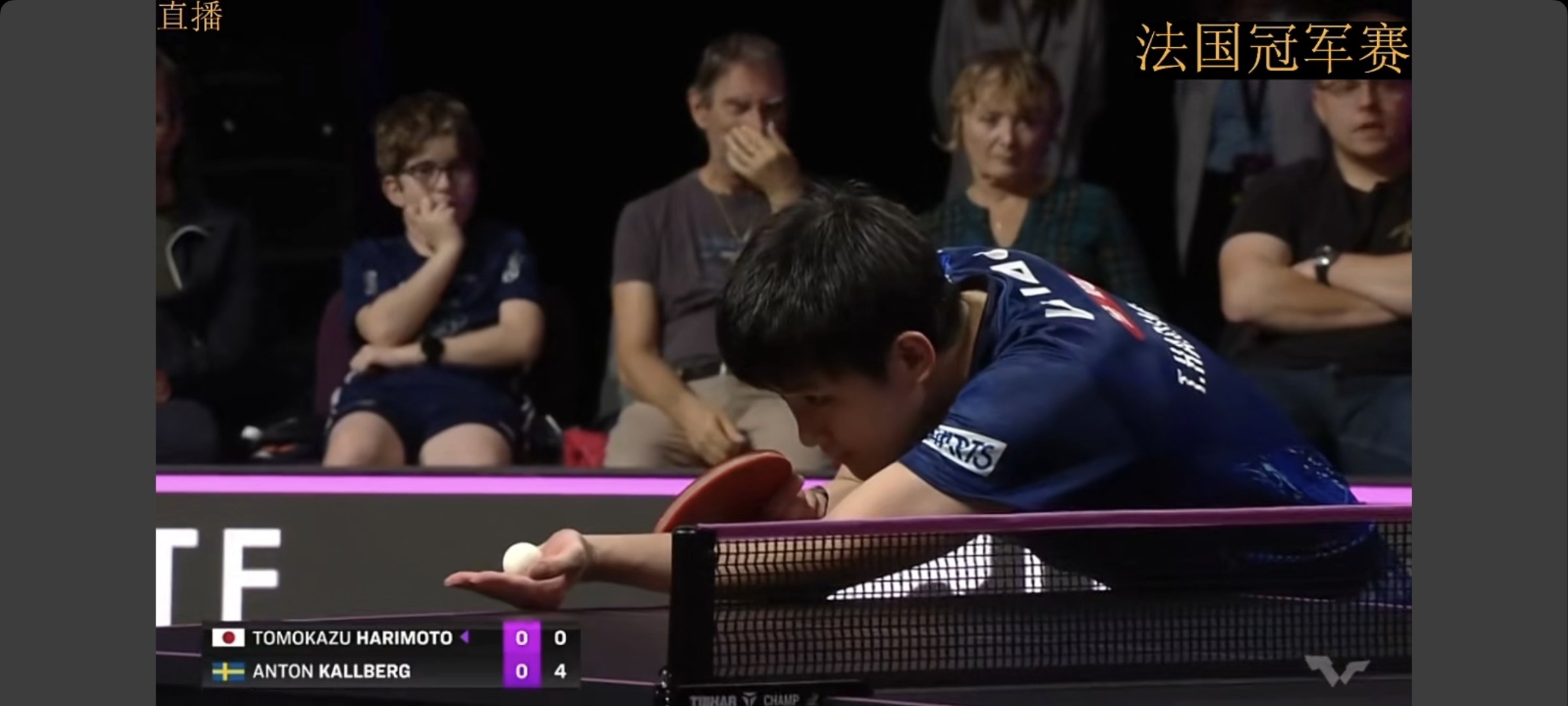 法国队翻盘波兰队，张本智和惊艳四座
