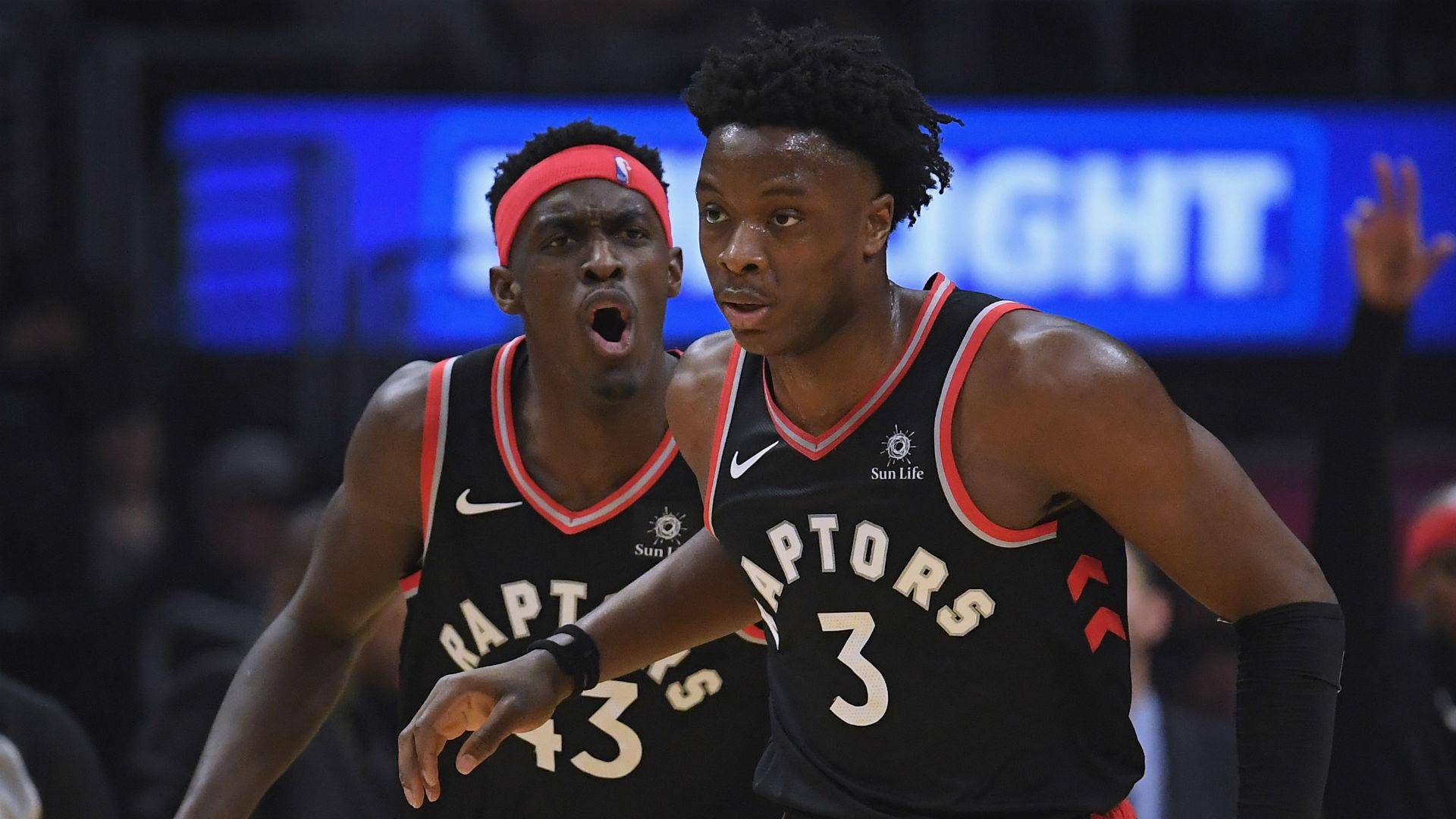 猛龙队气势如虹，强阵如洪守卫主场