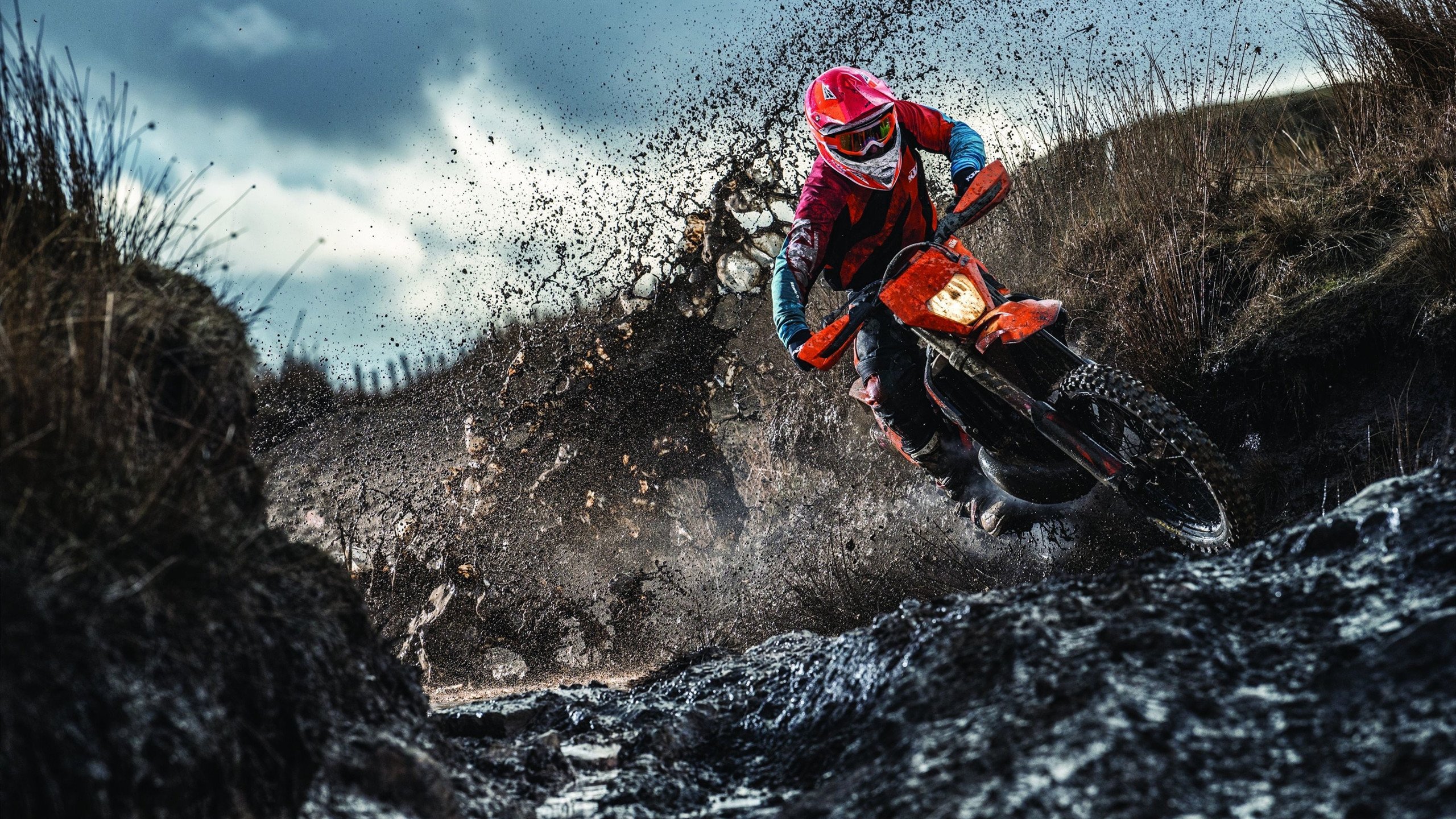 新王登基还是格局颠覆？阿尔卡拉斯率队ATP总决赛碾压美网，定义网球新时代