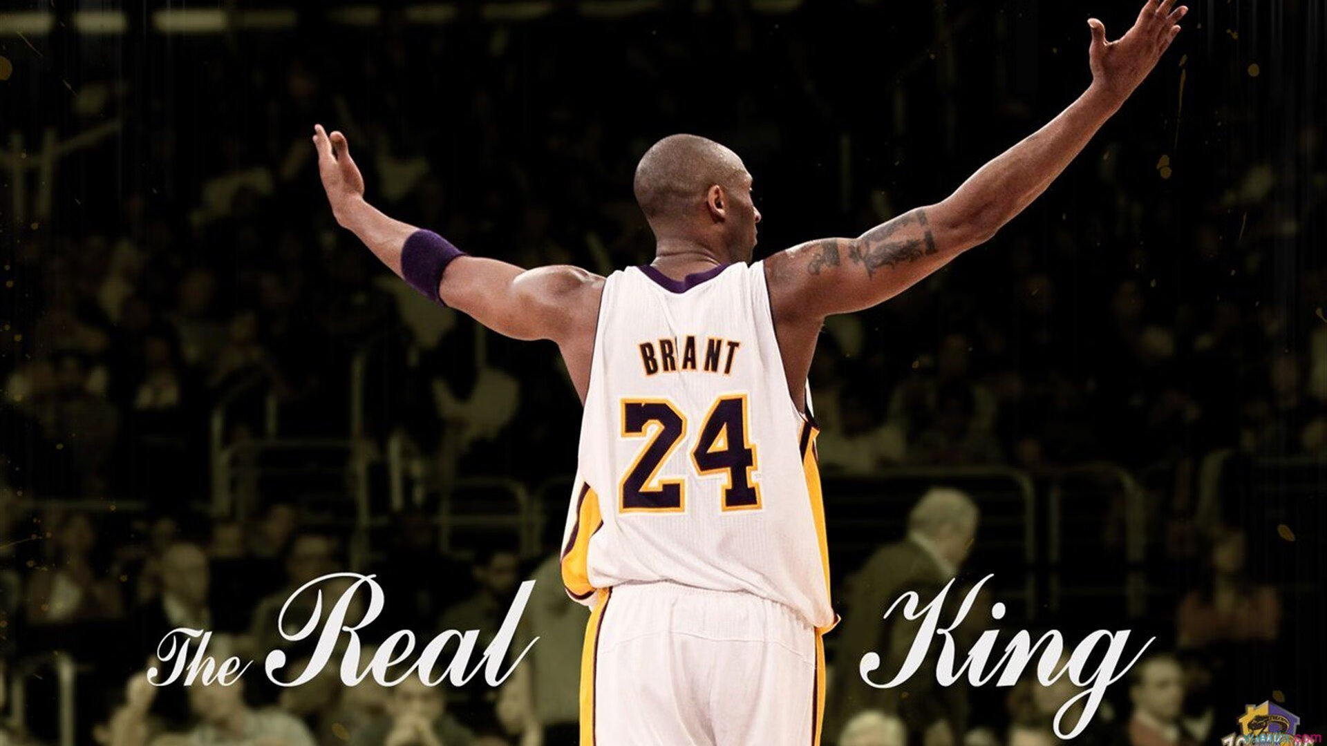 广厦血战太阳，拉梅洛关键一击定乾坤